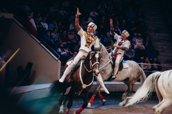 &ZHcy;&icy;&rcy;&acy;&fcy; &shcy;&ocy;&ucy;