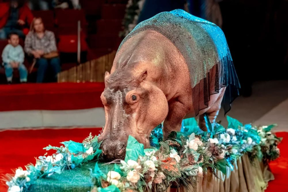 &Tcy;&rcy;&ocy;&pcy;&icy;&kcy; &SHcy;&ocy;&ucy;