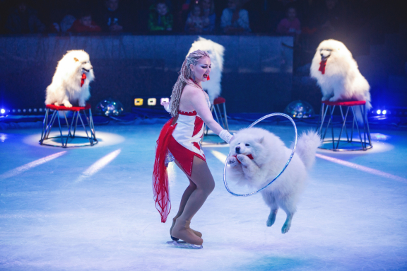 &TScy;&icy;&rcy;&kcy; &ncy;&acy; &lcy;&softcy;&dcy;&ucy; &Acy;&jcy;&scy;&bcy;&iecy;&rcy;&gcy;