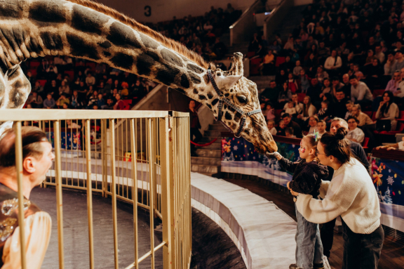 &ZHcy;&icy;&rcy;&acy;&fcy; &shcy;&ocy;&ucy;