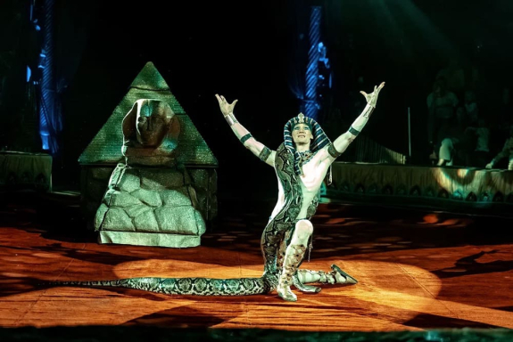 &Tcy;&rcy;&ocy;&pcy;&icy;&kcy; &SHcy;&ocy;&ucy;