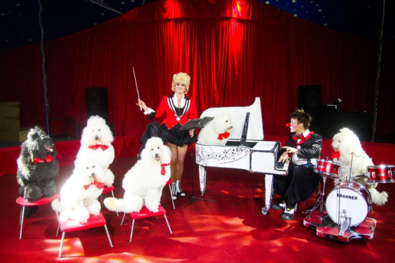 &TScy;&icy;&rcy;&kcy; &shcy;&acy;&pcy;&icy;&tcy;&ocy; "&Kcy;&acy;&rcy;&acy;&kcy;&acy;&tcy; &shcy;&ocy;&ucy;"&period; &TScy;&icy;&rcy;&kcy; "&Rcy;&ucy;&scy;&scy;&kcy;&icy;&iecy; &Mcy;&icy;&shcy;&kcy;&icy;"